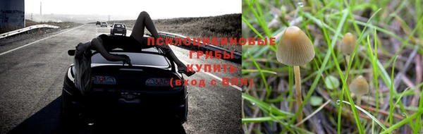 кокс Абинск