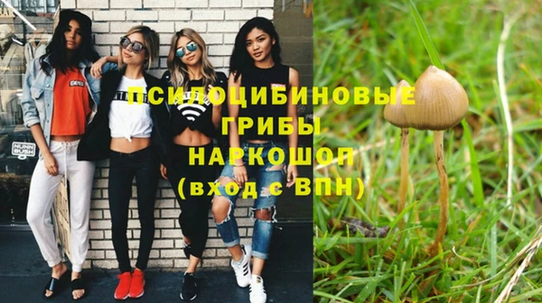 кокс Абинск