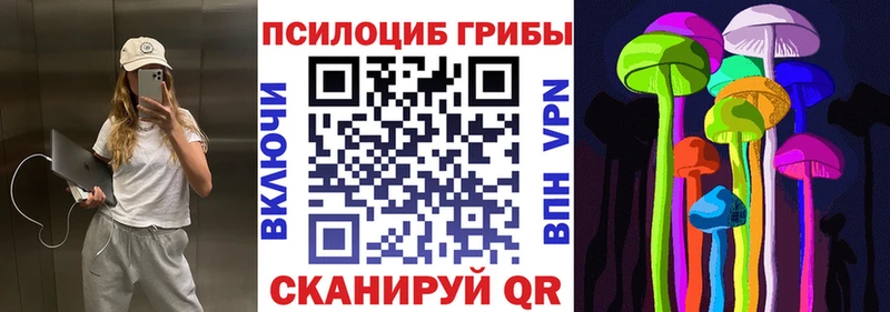 что такое наркотик  Костомукша  Галлюциногенные грибы мицелий 
