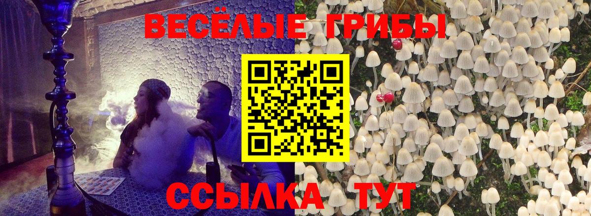 Костомукша  Галлюциногенные грибы MAGIC MUSHROOMS  Вход с VPN 